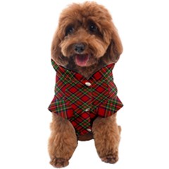 Royal Stewart Tartan Dog Coat by sifis