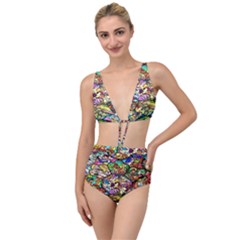 Character Disney Stained Tied Up Two Piece Swimsuit