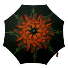 Red Geranium Over Black Background Hook Handle Umbrellas (medium)