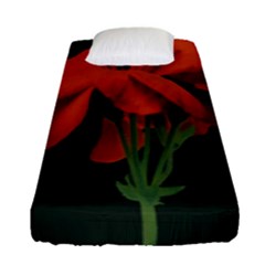 Red Geranium Over Black Background Fitted Sheet (single Size) by dflcprintsclothing