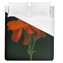 Red Geranium Over Black Background Duvet Cover (queen Size) by dflcprintsclothing