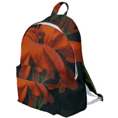 Red Geranium Over Black Background The Plain Backpack by dflcprintsclothing