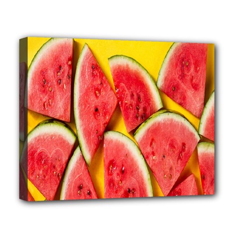 Watermelon Deluxe Canvas 20  X 16  (stretched) by artworkshop