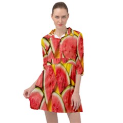 Watermelon Mini Skater Shirt Dress