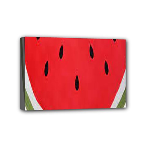 Watermelon Pillow Fluffy Mini Canvas 6  X 4  (stretched) by artworkshop