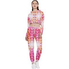 Bursting Energy Cropped Zip Up Lounge Set by Thespacecampers