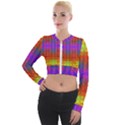 Electric Sunset Long Sleeve Cropped Velvet Jacket View1