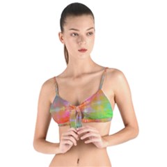 Faded Consciousness Tie Up Cut Bikini Top by Thespacecampers