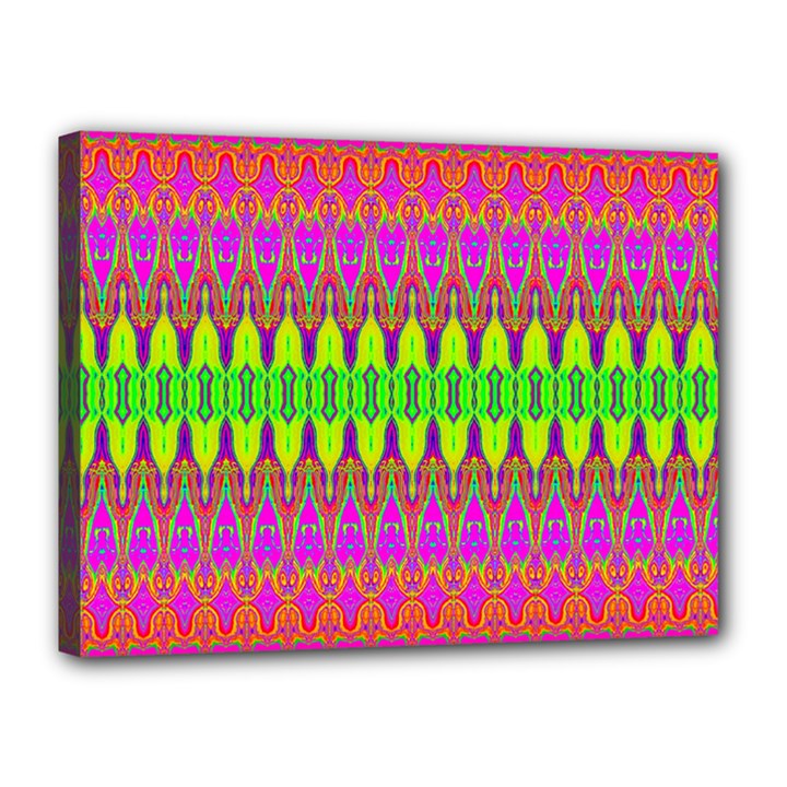 Groovy Godess Canvas 16  x 12  (Stretched)