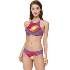 Diamond In The Rough Banded Triangle Bikini Set