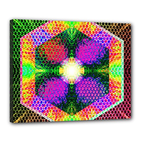 Honeycomb High Canvas 20  X 16  (stretched) by Thespacecampers