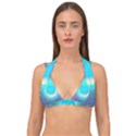 Moonburst Double Strap Halter Bikini Top View1