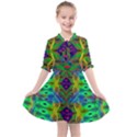 Portal Pieces Kids  All Frills Chiffon Dress View1