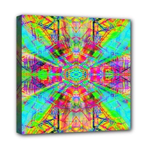 Terrestrial Burst Mini Canvas 8  X 8  (stretched) by Thespacecampers