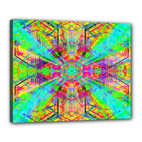 Terrestrial Burst Canvas 20  X 16  (stretched) by Thespacecampers