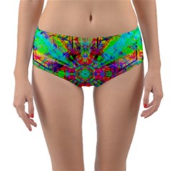 Terrestrial Burst Reversible Mid-waist Bikini Bottoms by Thespacecampers