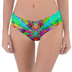 Terrestrial Burst Reversible Classic Bikini Bottoms by Thespacecampers