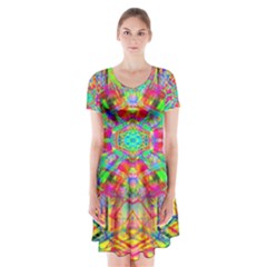 Terrestrial Burst Short Sleeve V-neck Flare Dress by Thespacecampers