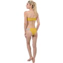 Hexagons Yellow Honeycomb Hive Bee Hive Pattern Classic Bandeau Bikini Set View2