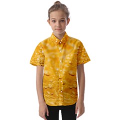 Water Kids  Short Sleeve Shirt