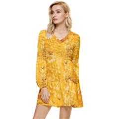 Water Tiered Long Sleeve Mini Dress