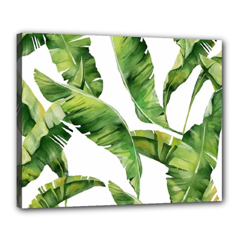 Sheets Tropical Plant Palm Summer Exotic Canvas 20  X 16  (stretched) by artworkshop