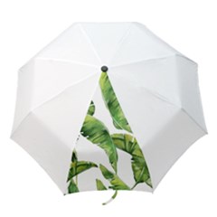 Sheets Tropical Plant Palm Summer Exotic Folding Umbrellas by artworkshop