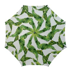 Sheets Tropical Plant Palm Summer Exotic Golf Umbrellas by artworkshop