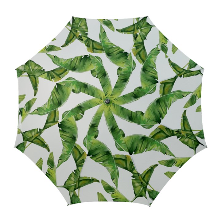 Sheets Tropical Plant Palm Summer Exotic Golf Umbrellas