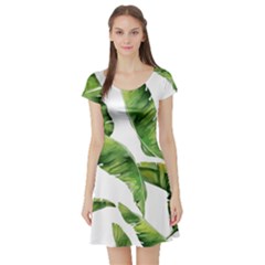 Sheets Tropical Plant Palm Summer Exotic Short Sleeve Skater Dress by artworkshop