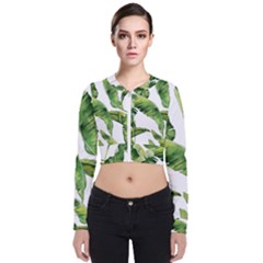 Sheets Tropical Plant Palm Summer Exotic Long Sleeve Zip Up Bomber Jacket by artworkshop