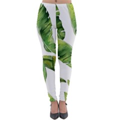 Sheets Tropical Plant Palm Summer Exotic Lightweight Velour Leggings by artworkshop