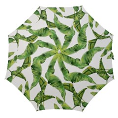 Sheets Tropical Plant Palm Summer Exotic Straight Umbrellas by artworkshop