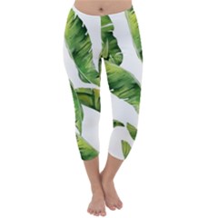 Sheets Tropical Plant Palm Summer Exotic Capri Winter Leggings  by artworkshop