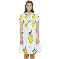 Pattern Lemon Texture Short Sleeve Waist Detail Dress by artworkshop