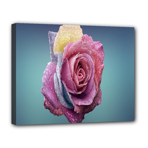 Rose Flower Love Romance Beautiful Canvas 14  X 11  (stretched) by artworkshop