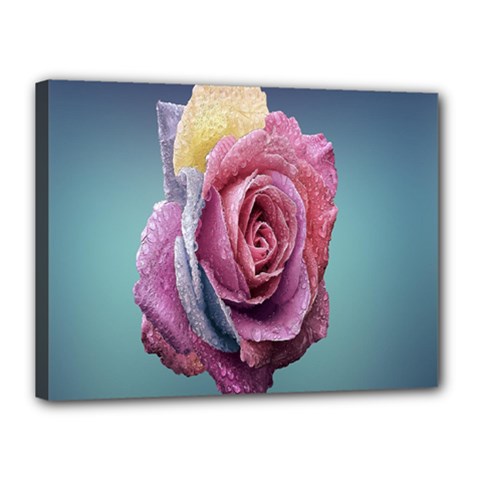 Rose Flower Love Romance Beautiful Canvas 16  X 12  (stretched) by artworkshop