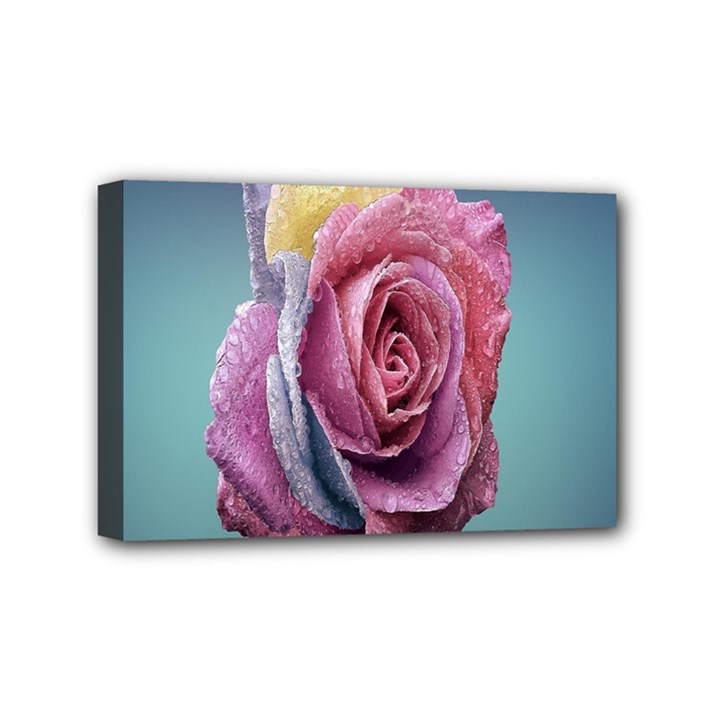 Rose Flower Love Romance Beautiful Mini Canvas 6  x 4  (Stretched)