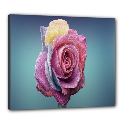 Rose Flower Love Romance Beautiful Canvas 24  X 20  (stretched) by artworkshop