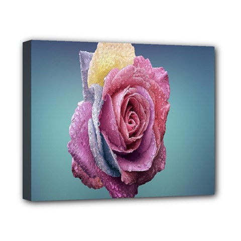 Rose Flower Love Romance Beautiful Canvas 10  X 8  (stretched) by artworkshop