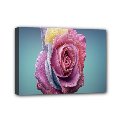 Rose Flower Love Romance Beautiful Mini Canvas 7  X 5  (stretched) by artworkshop