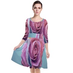 Rose Flower Love Romance Beautiful Quarter Sleeve Waist Band Dress by artworkshop