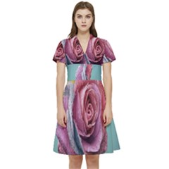 Rose Flower Love Romance Beautiful Short Sleeve Waist Detail Dress by artworkshop