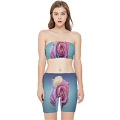 Rose Flower Love Romance Beautiful Stretch Shorts And Tube Top Set by artworkshop