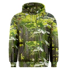 Bitter Melon Men s Core Hoodie by artworkshop