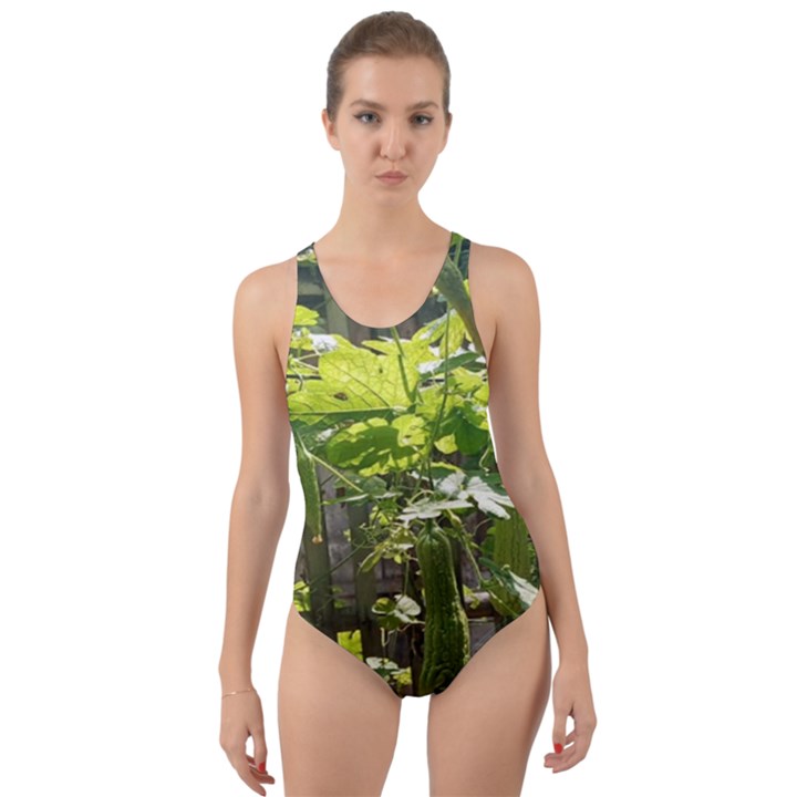 Bitter Melon Cut-Out Back One Piece Swimsuit