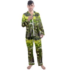 Bitter Melon Men s Long Sleeve Satin Pajamas Set by artworkshop