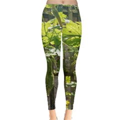 Bitter Melon Leggings  by artworkshop