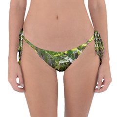 Bitter Melon Reversible Bikini Bottom by artworkshop