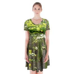 Bitter Melon Short Sleeve V-neck Flare Dress by artworkshop